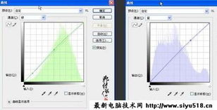 打造梦幻绿色外景婚片 电脑平面图文制作技术全攻略